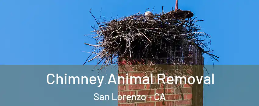 Chimney Animal Removal San Lorenzo - CA