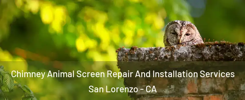  Chimney Animal Screen Repair And Installation Services San Lorenzo - CA