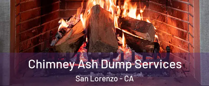 Chimney Ash Dump Services San Lorenzo - CA