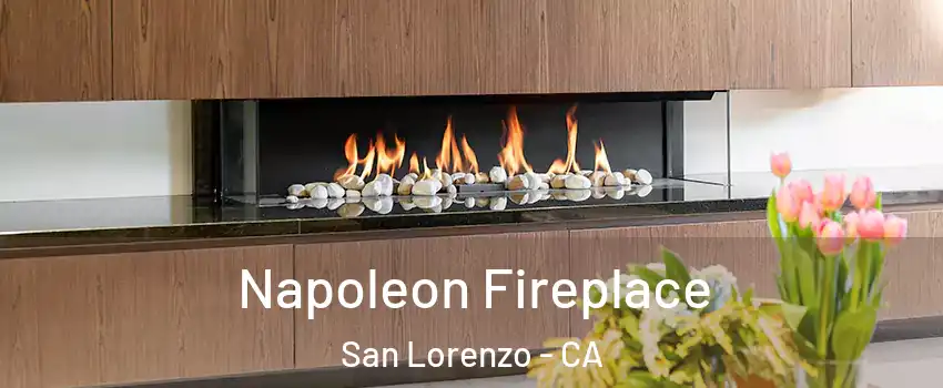  Napoleon Fireplace San Lorenzo - CA
